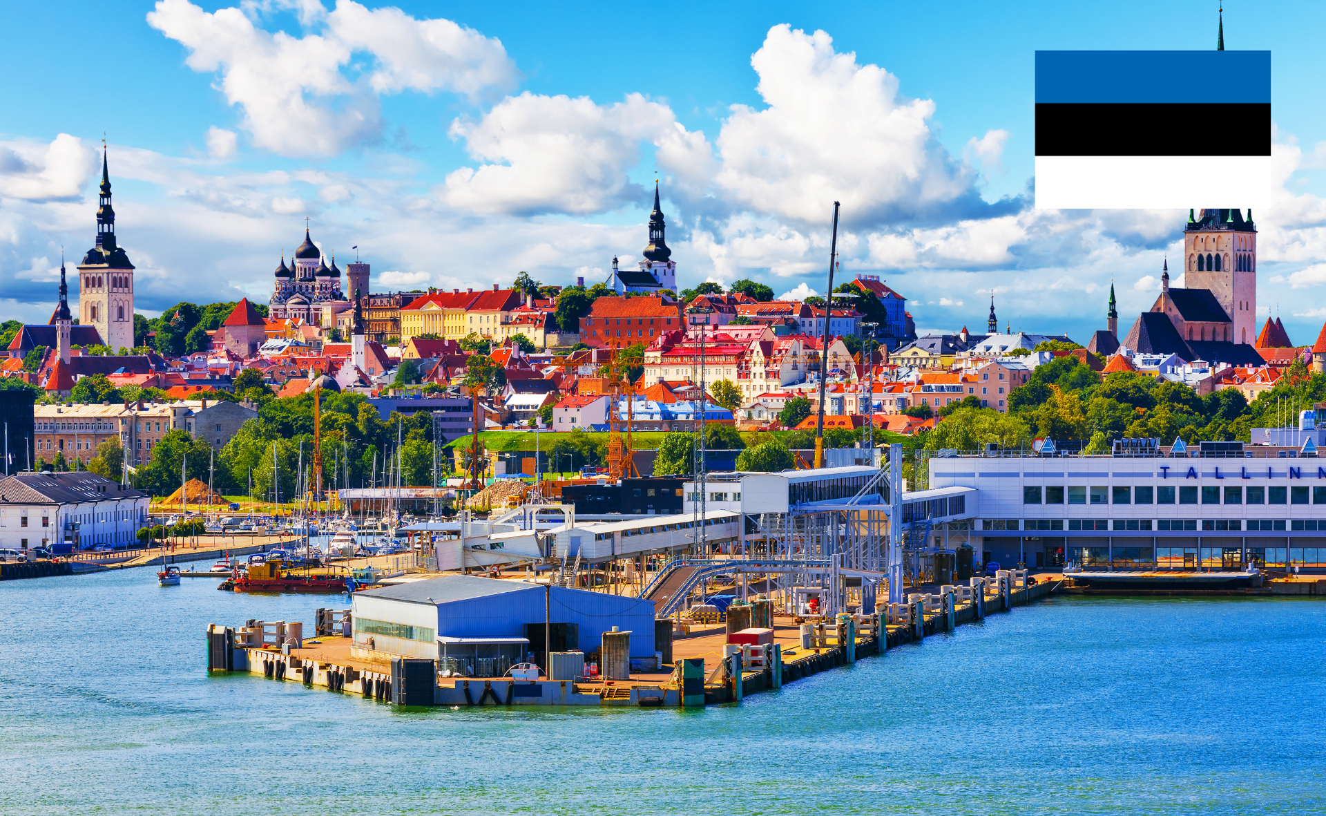 edRise - Study MBBS in Estonia